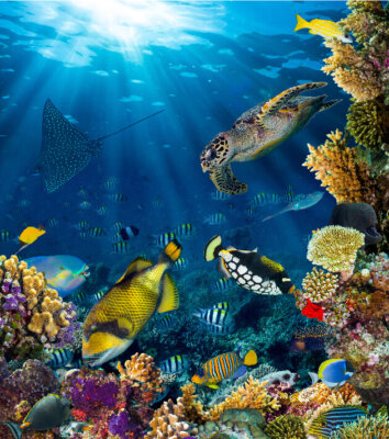 Underwater World